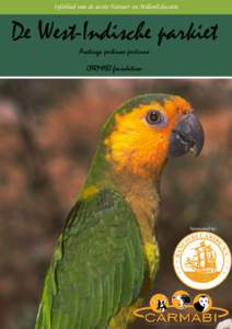 Infoblad van de sectie Natuur- en MilieuEducatie  De West-Indische parkiet Aratinga pertinax pertinax CARMABI foundation