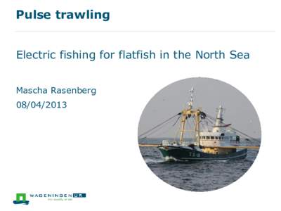 Pulse trawling Electric fishing for flatfish in the North Sea Mascha Rasenberg[removed]  Pulse trawling - introduction