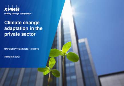 KPMG - UNFCCC PSI database report