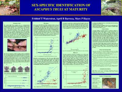 Sex-Specific Identification of Ascaphus Truei at Maturity