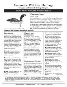 Vermont’s Wildlife Heritage Nongame and Natural Heritage Program FACTS ABOUT NONGAME WILDLIFE SPECIES Common Loon Gavia immer