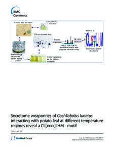 Secretome weaponries of Cochliobolus lunatus interacting with potato leaf at different temperature regimes reveal a CL[xxxx]LHM - motif