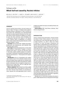 Puccinia / Wheat diseases / Energy crops / Wheat leaf rust / Rust / Leaf rust / Stem rust / Gene-for-gene relationship / Triticale / Biology / Microbiology / Food and drink