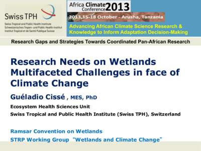 Advancing African Climate Science Research & Knowledge to Inform Adaptation Decision-Making Research Gaps and Strategies Towards Coordinated Pan-African Research Research Needs on Wetlands Multifaceted Challenges in face