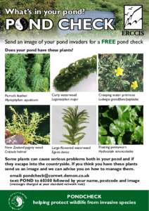 What’s in your pond?  POND CHECK Send an image of your pond invaders for a FREE pond check Does your pond have these plants?