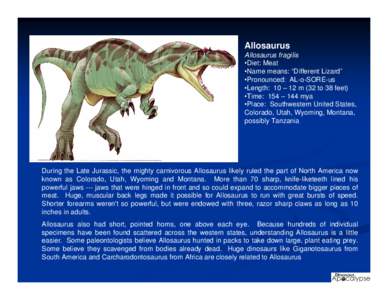 Allosaurus Allosaurus fragilis •Diet: Meat •Name means: “Different Lizard” •Pronounced: AL-o-SORE-us •Length: 10 – 12 m (32 to 38 feet)