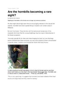 Tuesday August 5, 2008  Are the hornbills becoming a rare sight? By MEERA DEVI DARAN