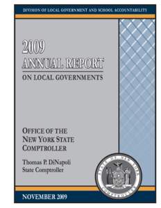 Annual Report on Local Governments[removed]