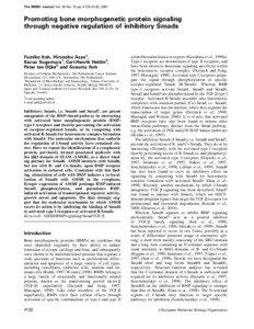 SMAD / Mothers against decapentaplegic homolog 4 / Mothers against decapentaplegic homolog 2 / Mothers against decapentaplegic homolog 1 / Bone morphogenetic protein / Transforming growth factor beta / Mothers against decapentaplegic homolog 9 / Tumor necrosis factor-alpha / Mothers against decapentaplegic homolog 7 / Biology / Transcription factors / R-SMAD