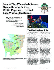 Salmon conservation / White River / Muckleshoot people / Duwamish tribe / Duwamish River / Cedar River / Black River / Chinook salmon / Sammamish River / Fish / Salmon / Oncorhynchus