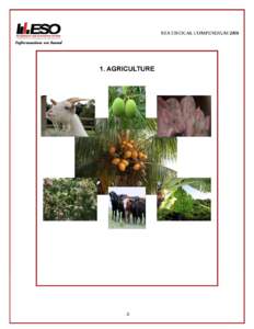 STATISTICAL COMPENDIUM[removed]Agricultural Production on Grand Cayman, [removed]