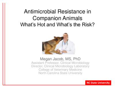 Antimicrobial Resistance in Companion Animals What’s Hot and What’s the Risk? Megan Jacob, MS, PhD Assistant Professor, Clinical Microbiology