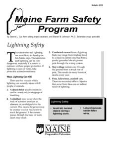 Lightning / Electrical safety / Storm / Injuries / Electrical phenomena / Lightning strike / Thunderstorm / Electrical burn / Ground / Meteorology / Atmospheric sciences / Electromagnetism