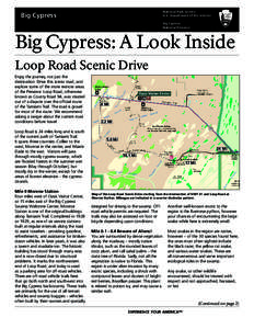 National Park Service U.S. Department of the Interior Big Cypress  Big Cypress