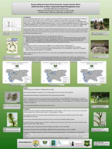 Characterization and comparison of wildlife and vegetation between wetland and agriculturally enclosed water depressions at Cypress Creek National Wildlife Refuge