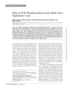 Biological weapons / Tropical diseases / Zoonoses / Animal virology / Ebolaviruses / Ebola virus / VP40 / Marburg virus / Filoviridae / Zaire ebolavirus / Ebola viral protein 24 / Protein phosphatase 1