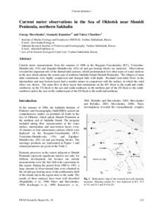 Current dynamics  Current meter observations in the Sea of Okhotsk near Shmidt Peninsula, northern Sakhalin Georgy Shevchenko1, Gennady Kantakov2* and Valery Chastikov2 1