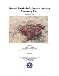 Microsoft Word - NM Boreal Toad Recovery Plan_Final.doc