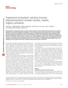 © 2004 Nature Publishing Group http://www.nature.com/naturebiotechnology  ARTICLES Engineered endophytic bacteria improve phytoremediation of water-soluble, volatile,