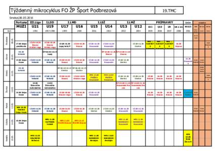 Týždenný mikrocyklus FO ŽP Šport Podbrezová  19.TMC Smékal,Fortuna