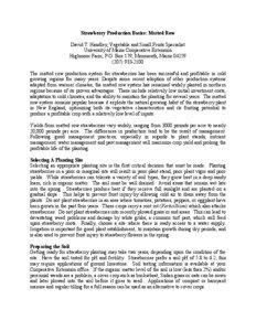 Strawberry Production Basics: Matted Row David T. Handley, Vegetable and Small Fruits Specialist University of Maine Cooperative Extension