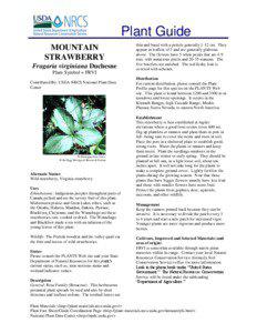 Plant Guide MOUNTAIN STRAWBERRY