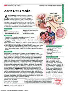 Otitis / Pediatrics / Audiology / Otitis media / Otalgia / Tympanostomy tube / Eustachian tube / Infection / Otitis externa / Medicine / Health / Otolaryngology