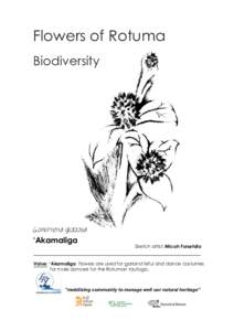 Flowers of Rotuma Biodiversity Gomphrena globosa ‘Akamaliga