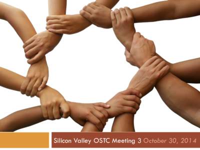 Silicon Valley OSTC Meeting 3 October 30, 2014  Where are we on the work plan? Where are we on the work plan? Feb