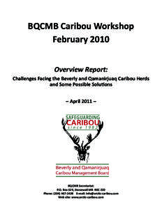 BQCMB Caribou Workshop_Overview Report.indd