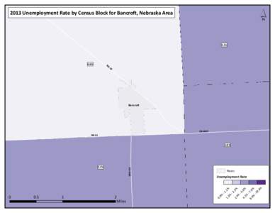 ´  2013 Unemployment Rate by Census Block for Bancroft, Nebraska Area 3.1%