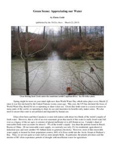 Green Scene: Appreciating our Water by Elaine Golds (published by the TriCity News – March 22, 2013) Clear-flowing Scott Creek enters the sometimes turbid Coquitlam River. Ian McArthur photo.
