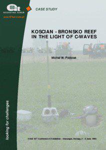 KOSCIAN - BRONSKO REEF IN THE LIGHT OF C-WAVES