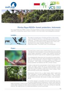 Rimba Raya REDD+ forest protection, Indonesia The unique Rimba Raya REDD+ project is the largest initiative to protect and preserve High Conservation Value (HCV), lowland peat swamp forests on Borneo – one of the w
