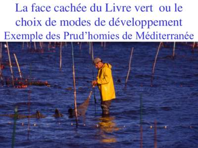 La face cachée du Livre vert ou le choix de modes de développement Exemple des Prud’homies de Méditerranée Origine de la Prud’homie