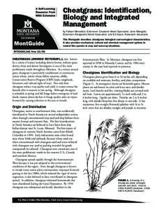 Cheatgrass: Identification, Biology and Integrated Management by Fabian Menalled, Extension Cropland Weed Specialist; Jane Mangold, Extension Rangeland Weed Specialist; and Ed Davis, Research Associate