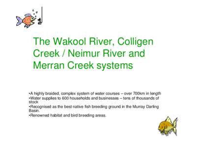 The Wakool River River, Colligen Creek / Neimur River and Merran Creek systems •A highly braided, complex system of water courses – over 700km in length •Water supplies to 600 households and businesses – tens of 