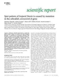 scientific report scientificreport Spot pattern of leopard Danio is caused by mutation in the zebrafish connexin41.8 gene Masakatsu Watanabe1, Motoko Iwashita1,2, Masaru Ishii3, Yoshihisa Kurachi3, Atsushi Kawakami1,4,
