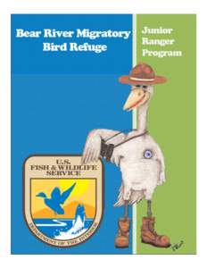 The Junior Ranger Program at the Bear River Migratory Bird Refuge has been designed for you and your child to explore and discover the wonder of the ecosystems of the Bear River Watershed. The activities in this booklet