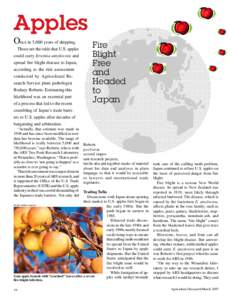 Apple / Blight / World Trade Organization / Biology / Enterobacteria / Fire blight