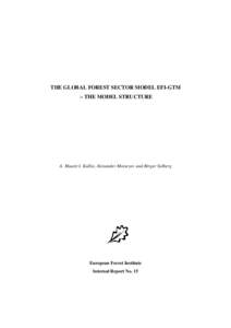 THE GLOBAL FOREST SECTOR MODEL EFI-GTM – THE MODEL STRUCTURE A. Maarit I. Kallio, Alexander Moiseyev and Birger Solberg  European Forest Institute