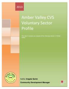 2013 s Logo  Amber Valley CVS