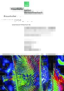 Jahresbericht 2005 Röntgenographische Charakterisierung dünner Wolframdrähte Leistungsbereich Randschichttechnologien Dr. Wulf Pfeiffer