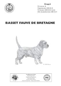 Basset Fauve de Bretagne fci 36.pmd