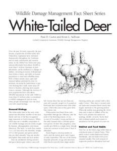 Wildlife Damage Management Fact Sheet Series  White-Tailed Deer Paul D. Curtis and Kristi L. Sullivan Cornell Cooperative Extension, Wildlife Damage Management Program
