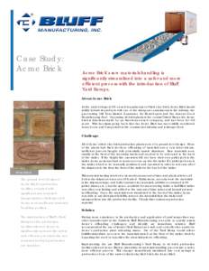 Lorem Ipsum Case Study: Acme Brick Acme Brick’s raw materials handling is significantly streamlined into a safer and more