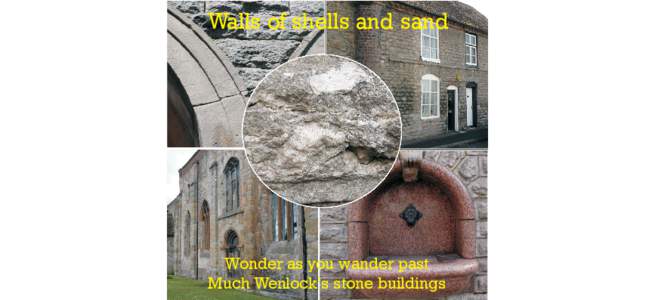 Walls of shells and sand  Wonder as you wander past Much Wenlock’s stone buildings  Welcome to stony Wenlock