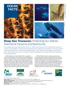 © Footage Search  Deep Sea Treasures: Protecting Our Atlantic Submarine Canyons and Seamounts The undersea canyons and seamounts off the U.S. Atlantic coast are home to an extraordinary universe of life, from a living s