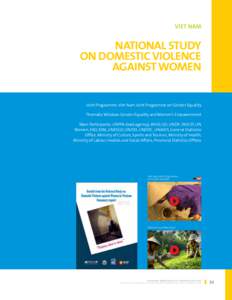 Viet Nam  National Study on Domestic Violence against Women Joint Programme: Viet Nam Joint Programme on Gender Equality