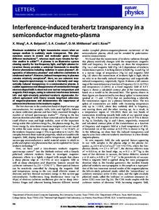 Interference-induced terahertz transparency in a semiconductor magneto-plasma